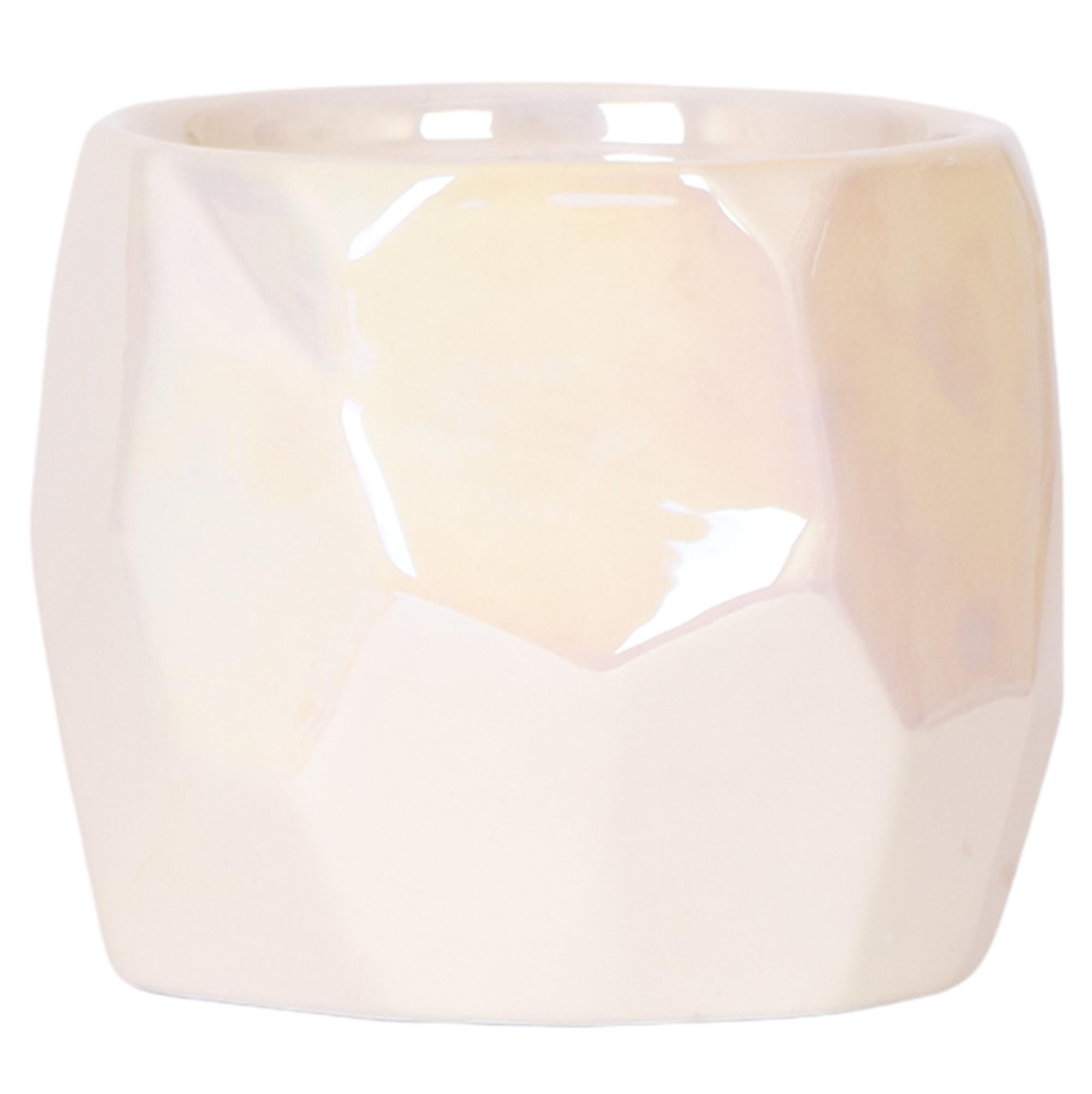 Kolibri Home I Pearl pot en pot Ø12cm. Plante verte type Kolibri Home I Pearl pot, livrée en pot, idéale pour intérieur lumineux.