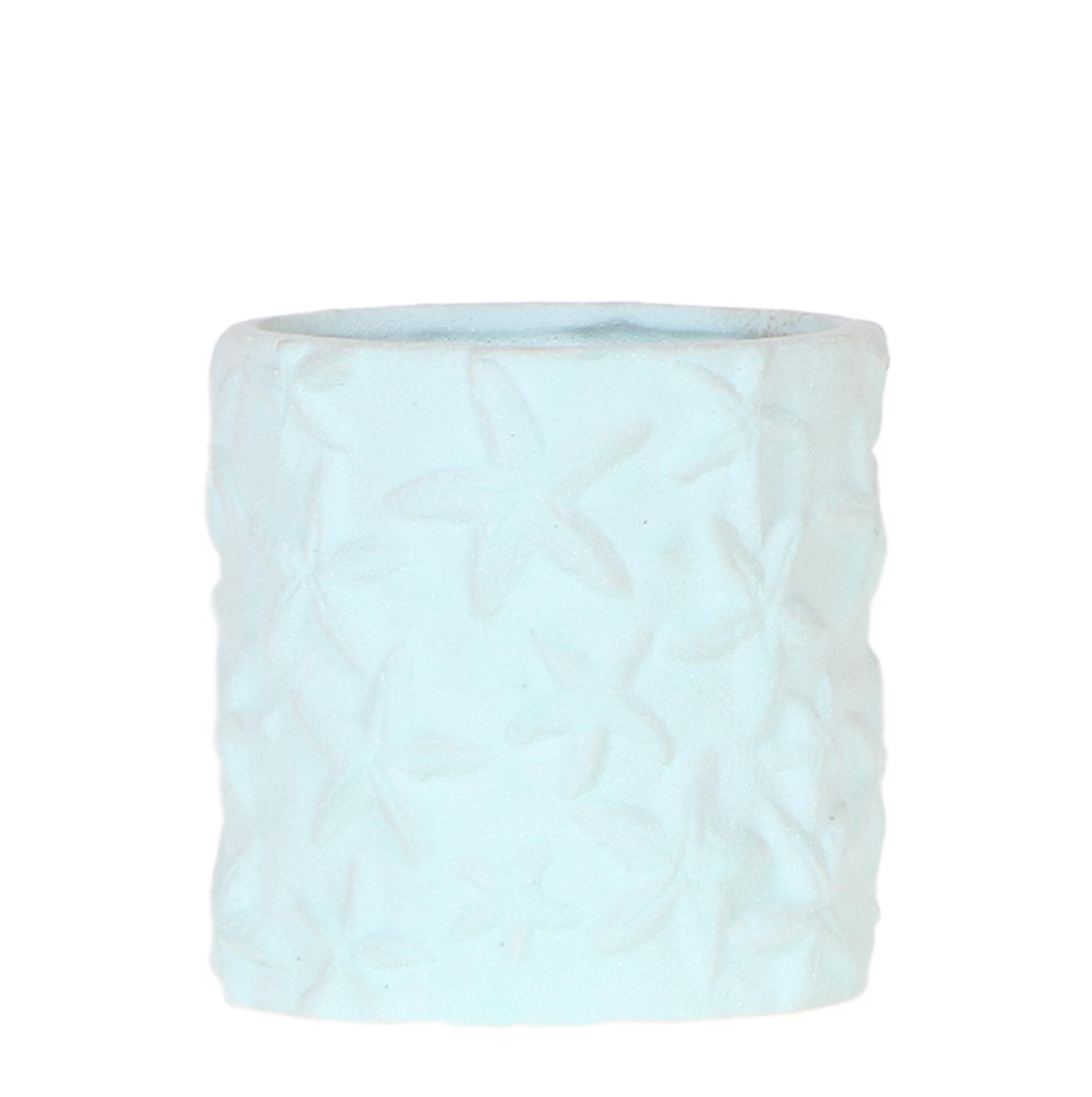 Kolibri Home | Star Fish sierpot en pot Ø9cm. Plante verte type Kolibri Home | Star Fish sierpot, livrée en pot, idéale pour intérieur lumineux.