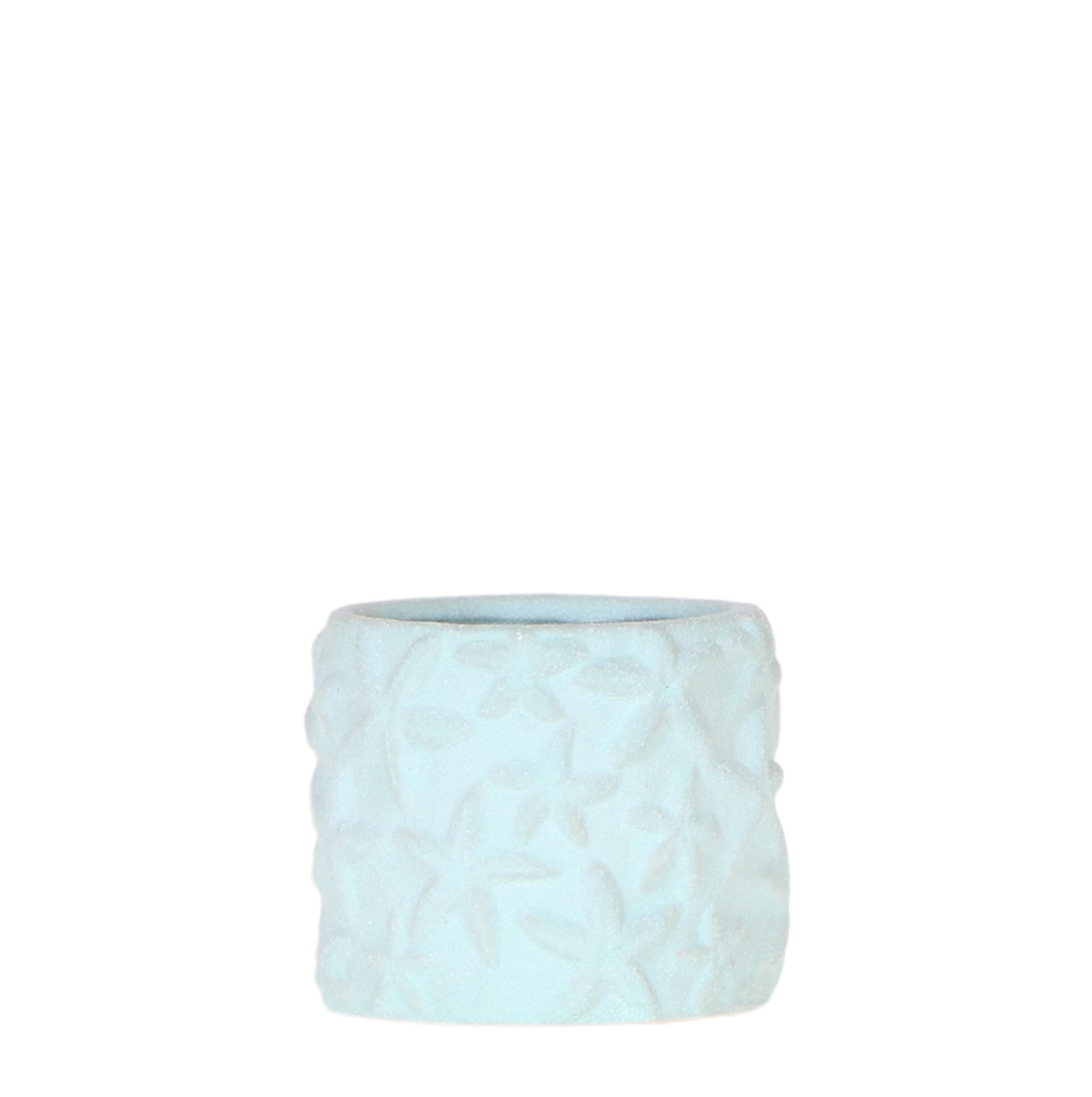 Kolibri Home | Star Fish sierpot en pot Ø6cm. Plante verte type Kolibri Home | Star Fish sierpot, livrée en pot, idéale pour intérieur lumineux.