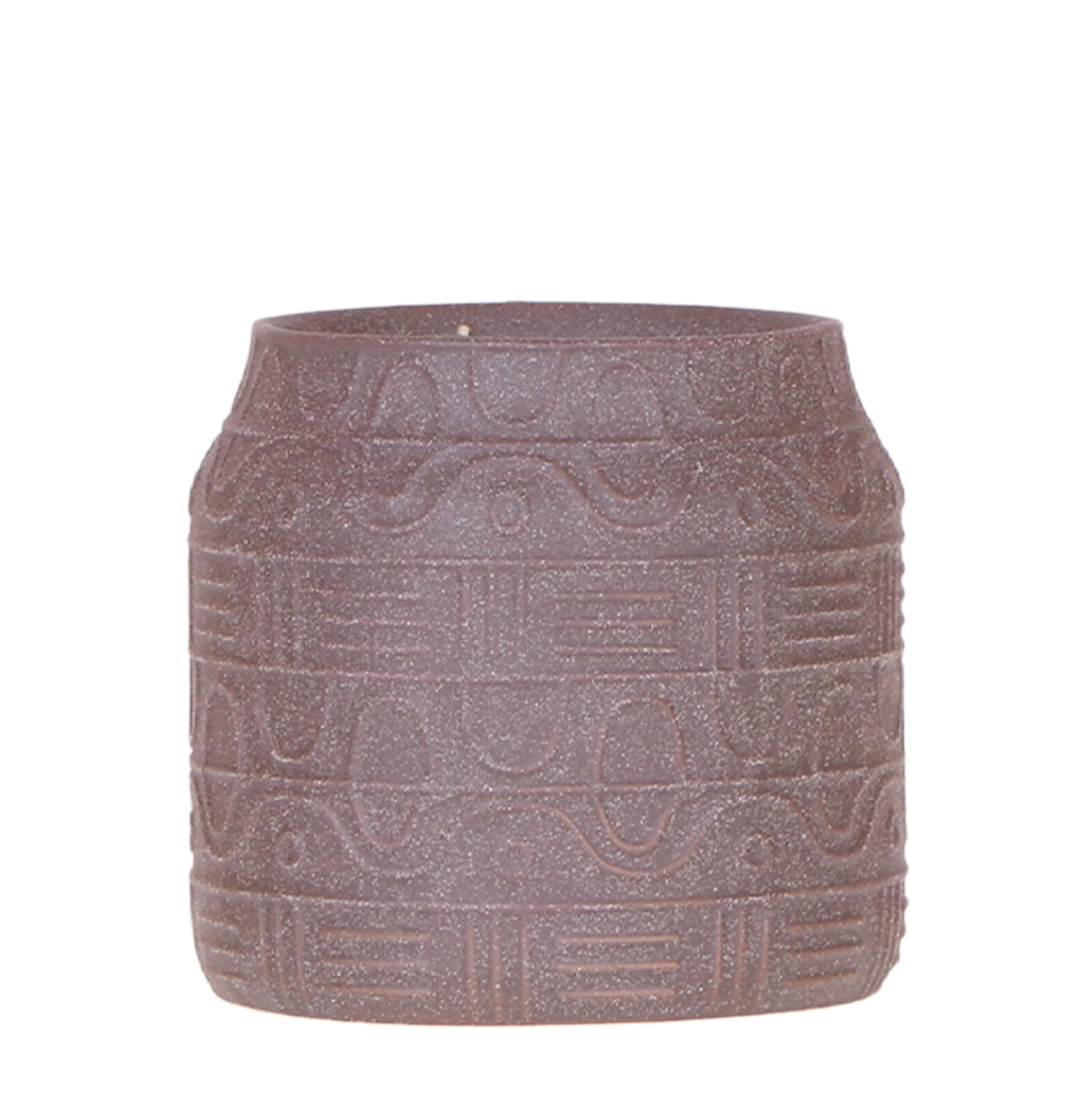Kolibri Home | Hyroglyph sierpot en pot Ø9cm. Plante verte type Kolibri Home | Hyroglyph sierpot, livrée en pot, idéale pour intérieur lumineux.