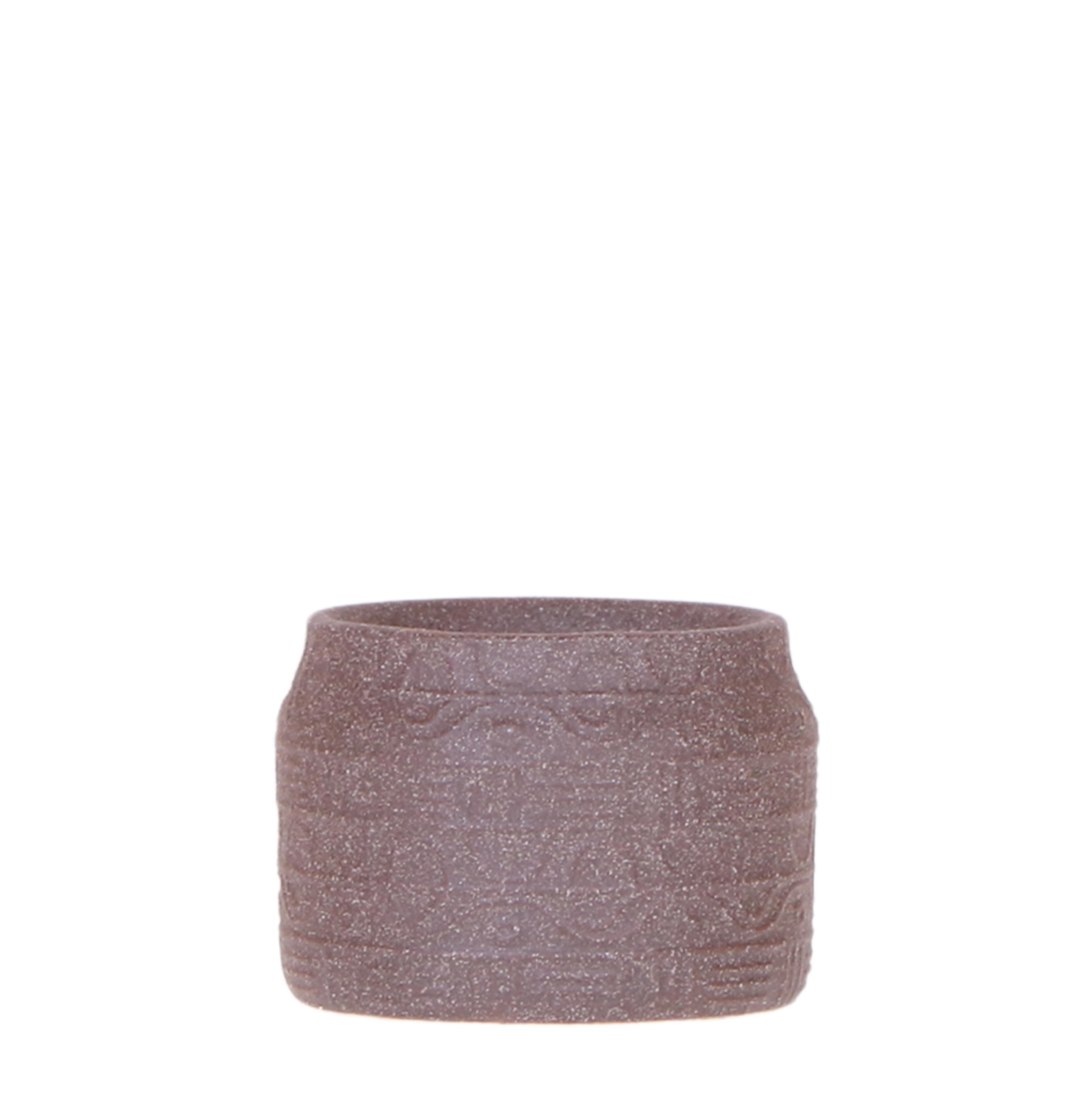 Kolibri Home | Hyroglyph sierpot en pot Ø6cm. Plante verte type Kolibri Home | Hyroglyph sierpot, livrée en pot, idéale pour intérieur lumineux.