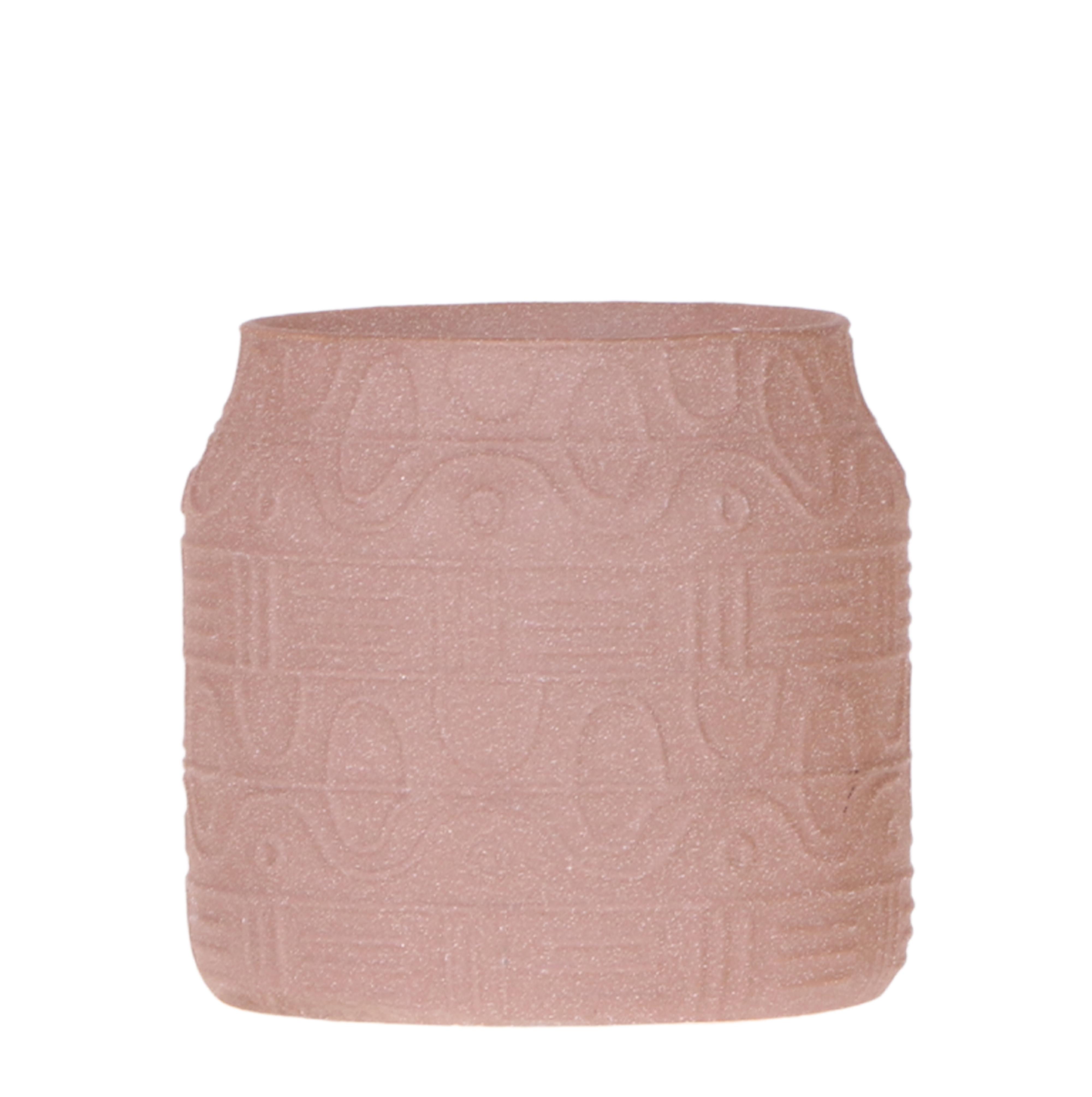 Kolibri Home | Hyroglyph sierpot en pot Ø9cm. Plante verte type Kolibri Home | Hyroglyph sierpot, livrée en pot, idéale pour intérieur lumineux.