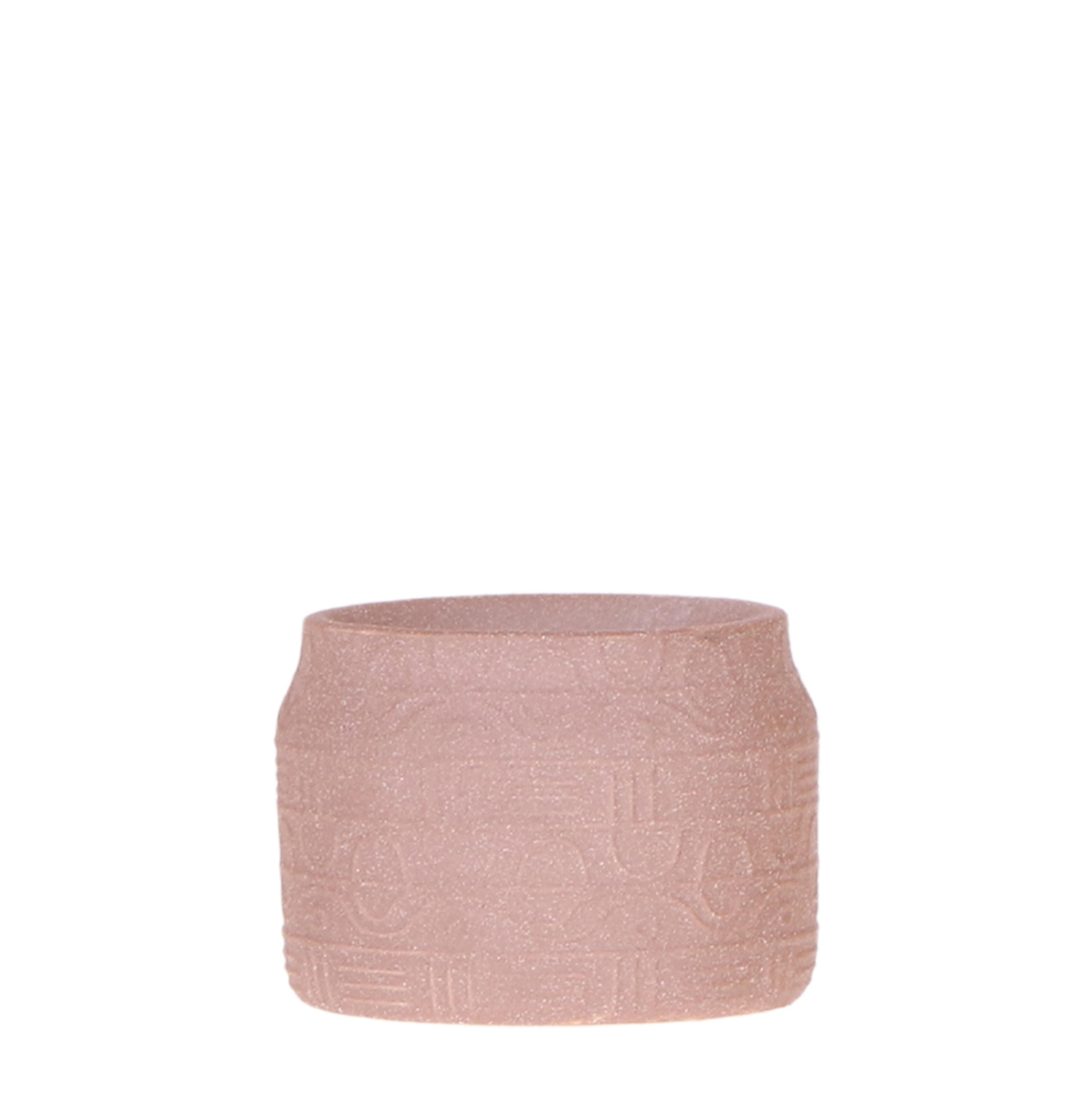 Kolibri Home | Hyroglyph sierpot en pot Ø6cm. Plante verte type Kolibri Home | Hyroglyph sierpot, livrée en pot, idéale pour intérieur lumineux.