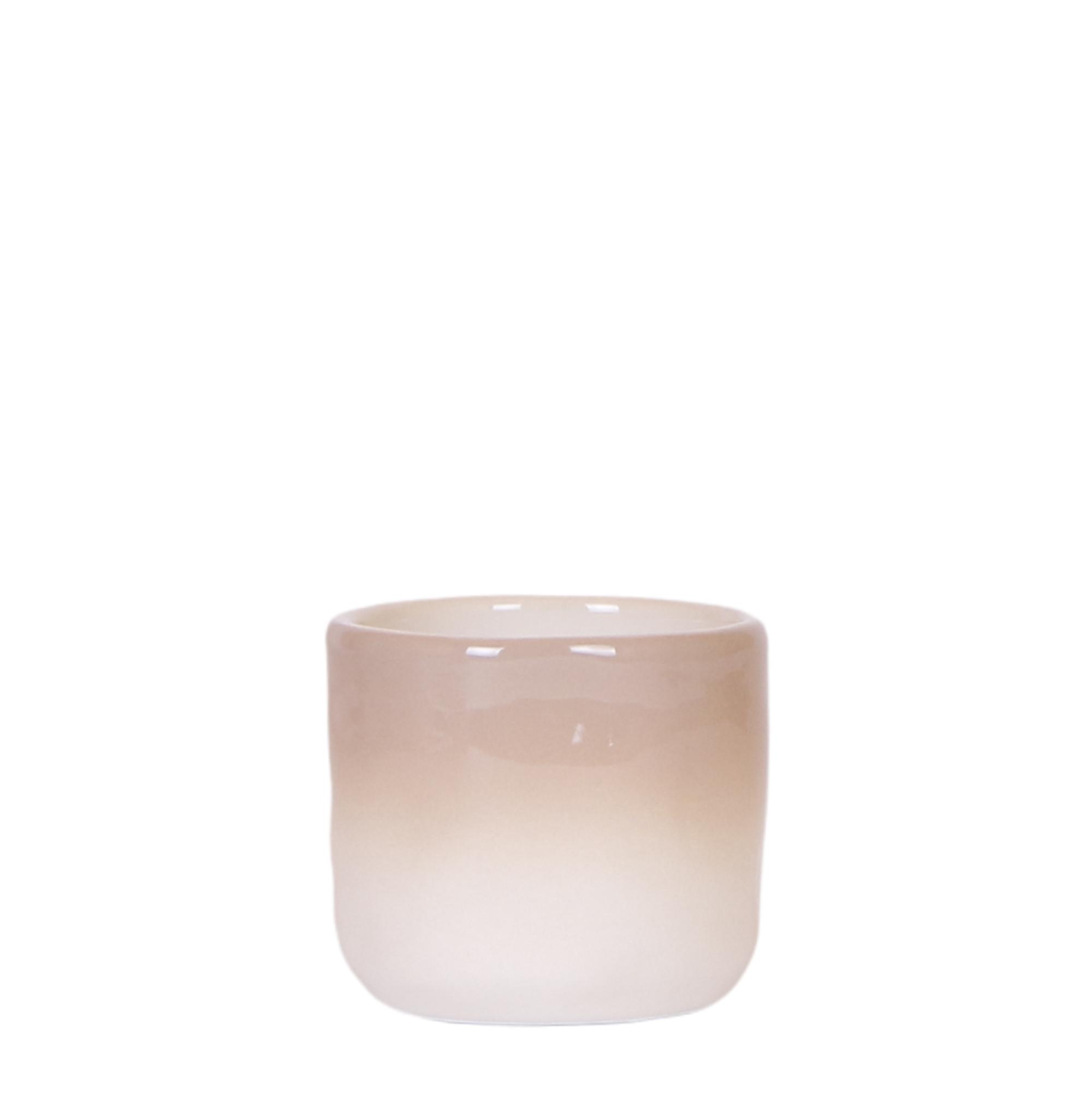 Kolibri Home | Gradience sierpot en pot Ø6cm. Plante verte type Kolibri Home | Gradience sierpot, livrée en pot, idéale pour intérieur lumineux.