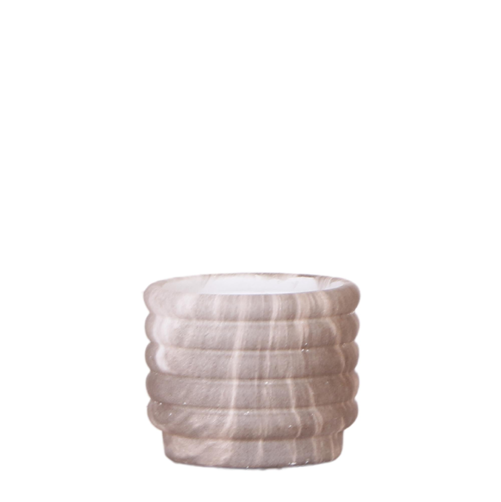 Kolibri Home | Marble pot en pot Ø6cm. Plante verte type Kolibri Home | Marble pot, livrée en pot, idéale pour intérieur lumineux.