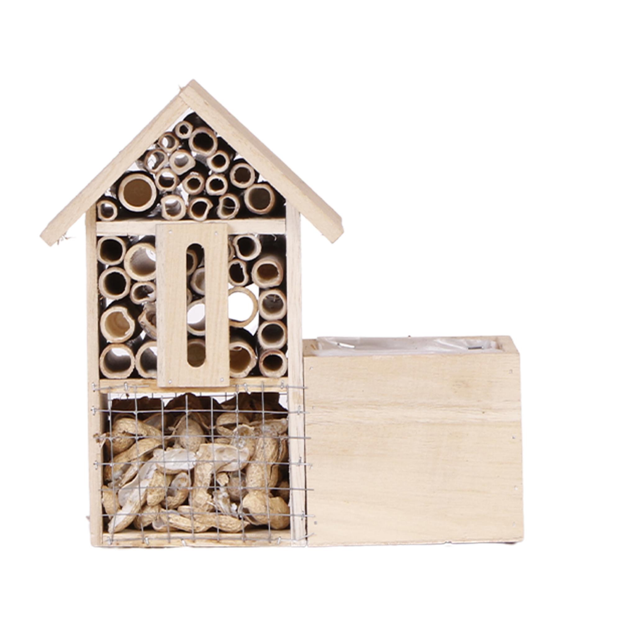 Kolibri Home | Insect Hotel deocorative pot en pot. Plante verte type Kolibri Home | Insect Hotel deocorative pot, livrée en pot, idéale pour intérieur lumineux.