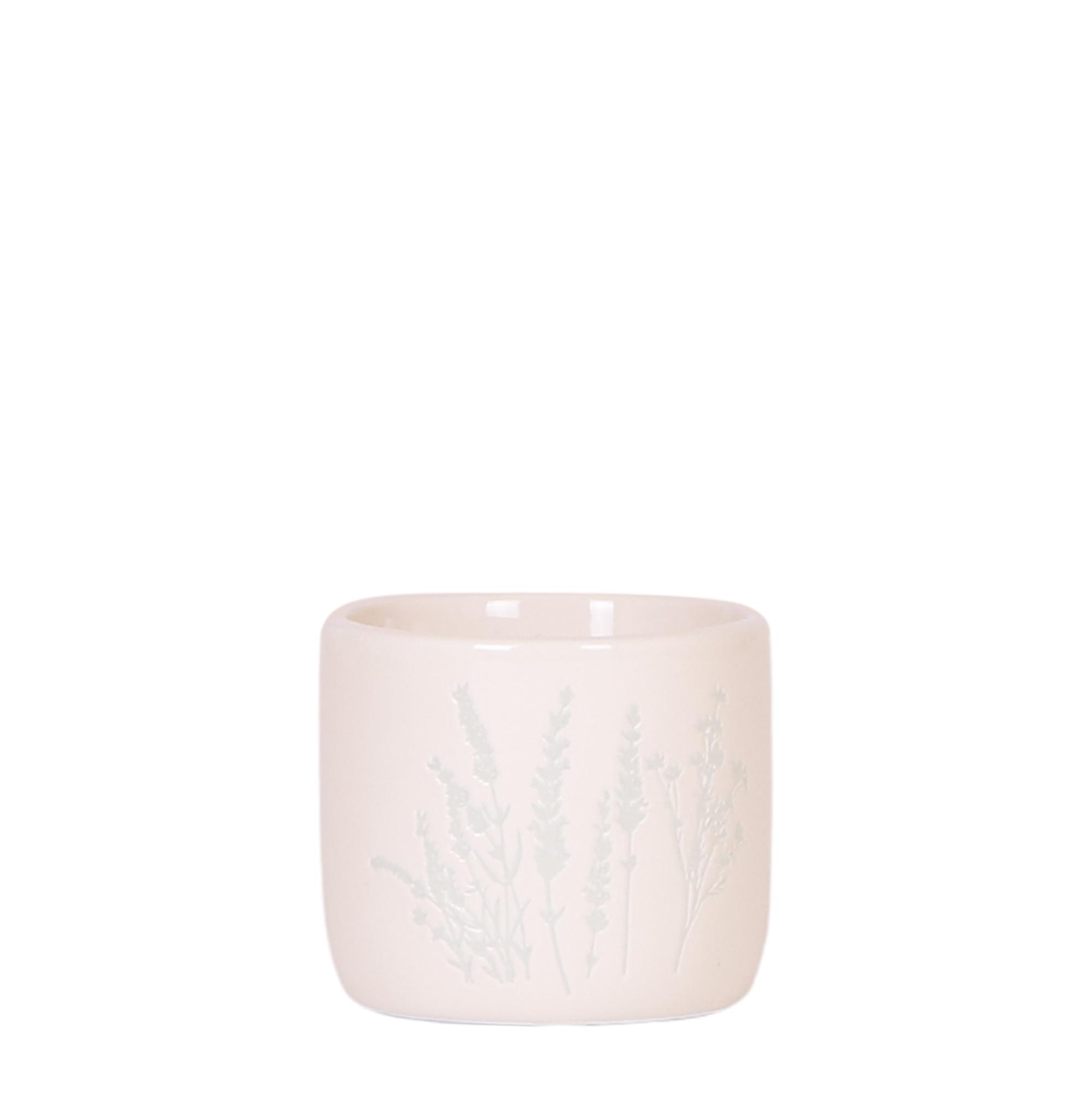 Kolibri Home | Floral bloempot en pot. Plante verte type Kolibri Home | Floral bloempot, livrée en pot, idéale pour intérieur lumineux.
