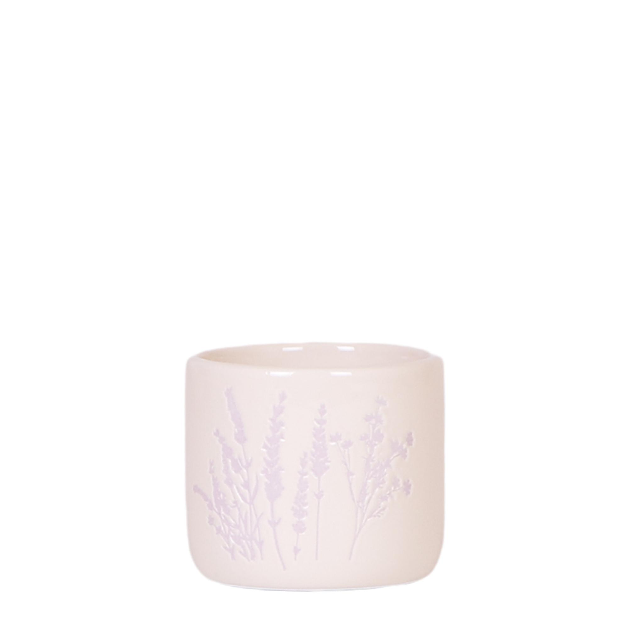 Kolibri Home | Floral bloempot en pot. Plante verte type Kolibri Home | Floral bloempot, livrée en pot, idéale pour intérieur lumineux.