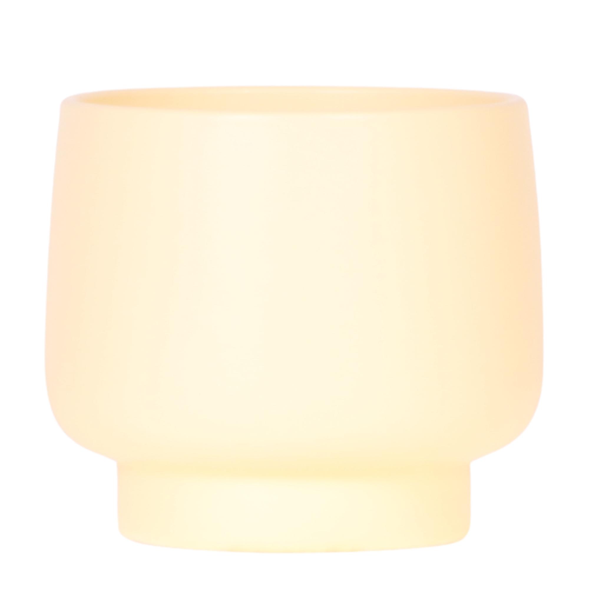 Kolibri Home | Scandic bloempot en pot. Plante verte type Kolibri Home | Scandic bloempot, livrée en pot, idéale pour intérieur lumineux.