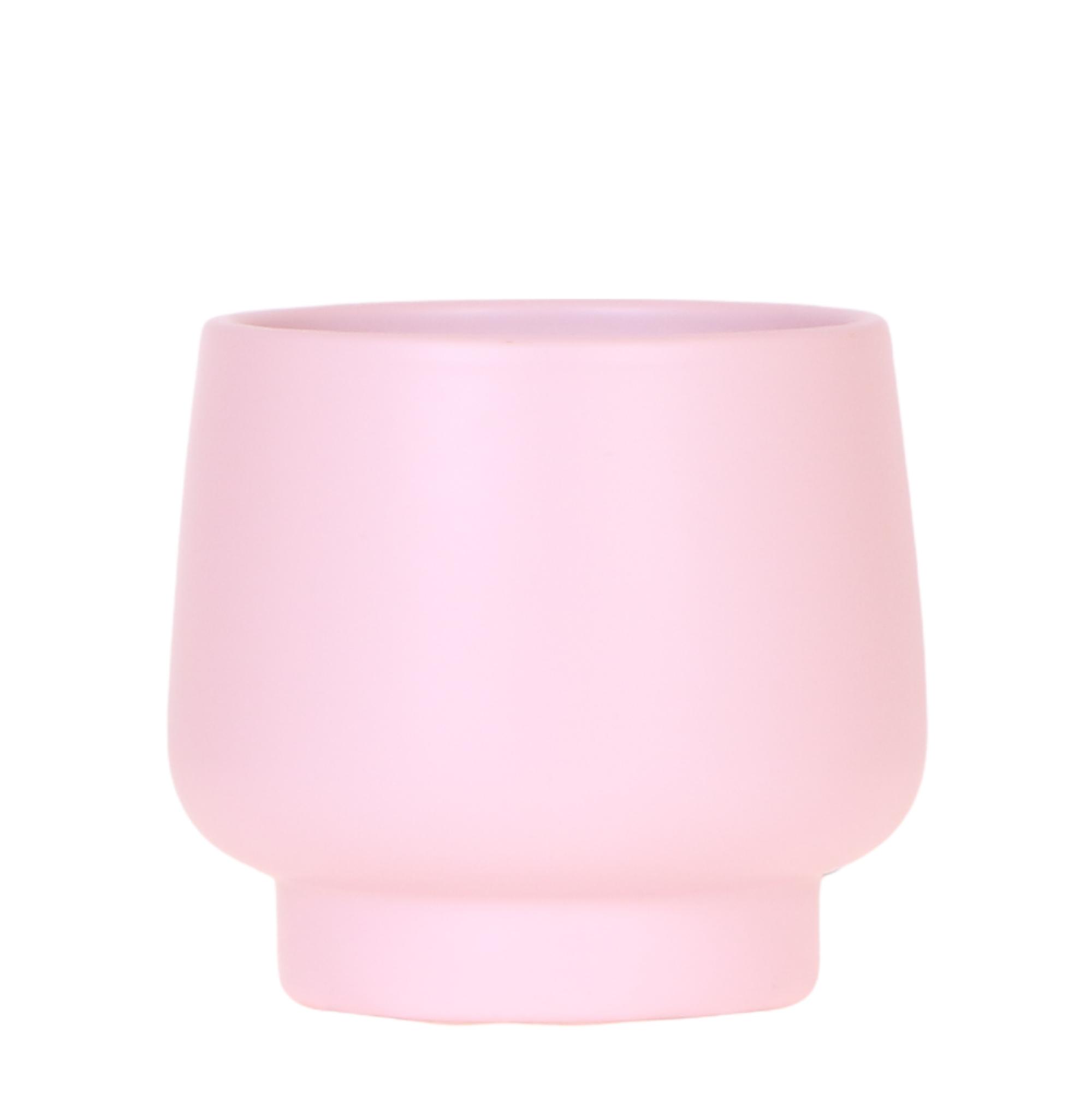 Kolibri Home | Scandic bloempot en pot. Plante verte type Kolibri Home | Scandic bloempot, livrée en pot, idéale pour intérieur lumineux.