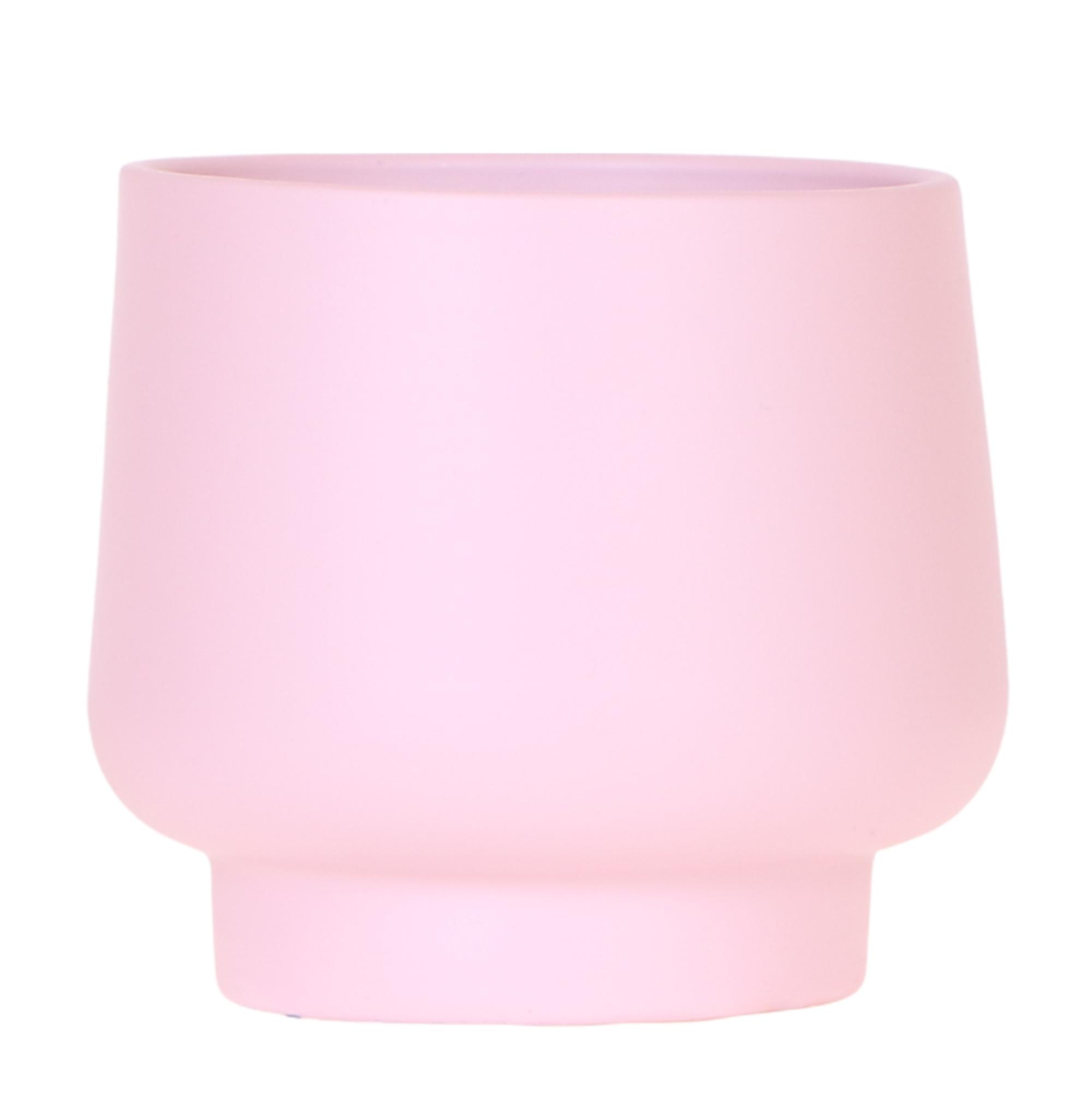 Kolibri Home | Scandic bloempot en pot. Plante verte type Kolibri Home | Scandic bloempot, livrée en pot, idéale pour intérieur lumineux.