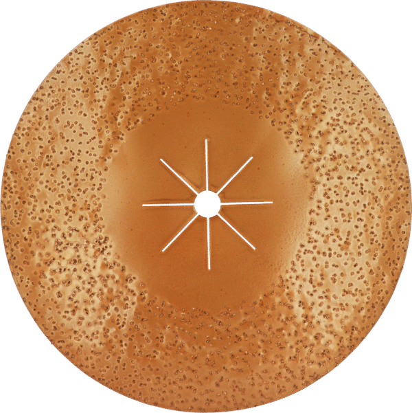 DISQUE DOUBLE FACE SOL 400X25/8 GR24 CAR.TUNGSTENE