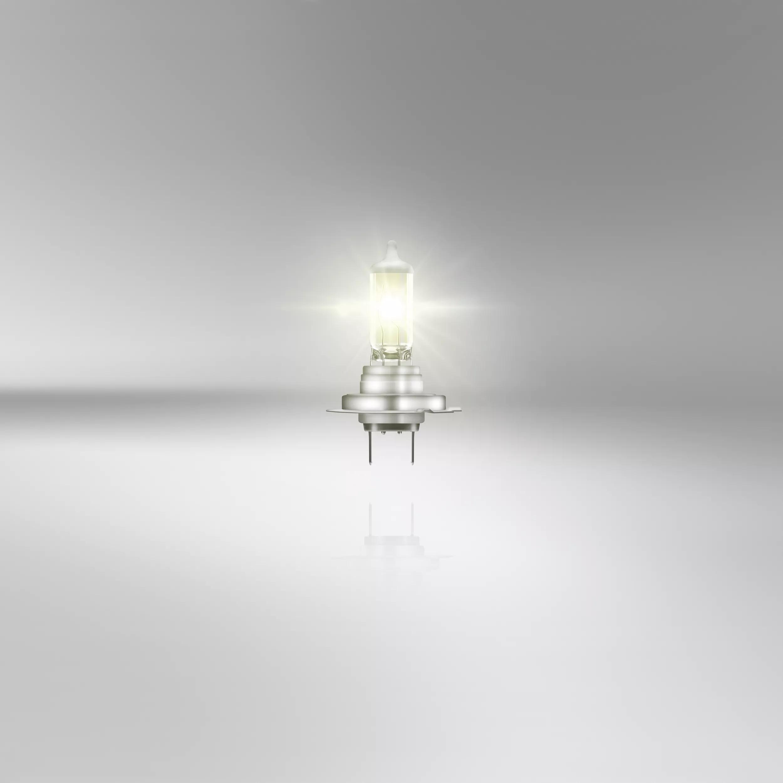 ALL SEASON H7 12V – Image 2
