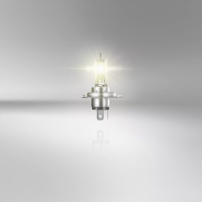 ALL SEASON H4 12V – Image 2