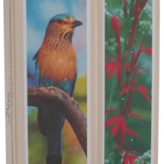 ALLUMETTE DIVA GEANTE BTE DE 20