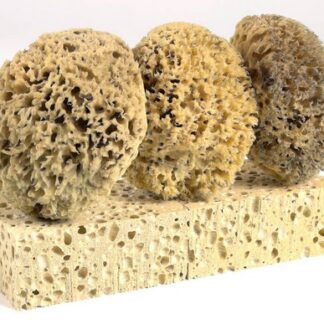 LOT EPONGE 2GT+3NATUREL LOT103