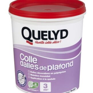 QUELYD COLLE DALLE PLAFOND 1KG