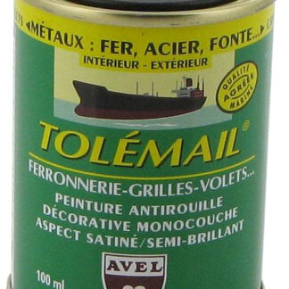 TOLEMAIL FERRONNERIE 100ML ROUGE VI