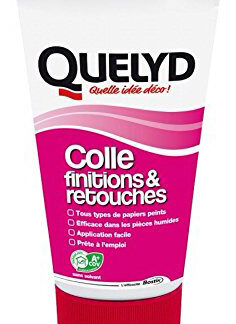 QUELYD COLLE FINIT & RETOUCHE 100G