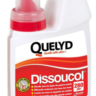 QUELYD DISSOUCOL FLACON 500ML