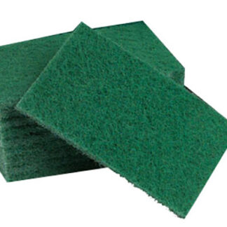 TAMPONS ABRASIFS VERT X10