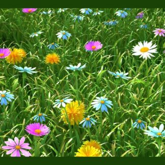 TAPIS CREATION GRASSFIEL GREEN50X80
