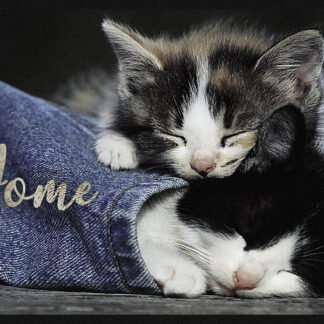 TAPIS VELVET CHATON WELCOM 45X75