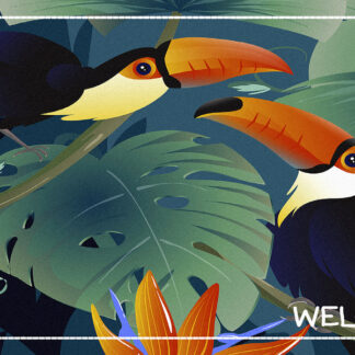 TAPIS VELVET TOUCAN 45X75