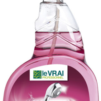 LE VRAI PRO DESINF DETERG SANIT 750