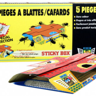 STICKY BOX 5 PIEGES CAFARDS A GLU
