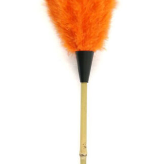 PLUMEAU DINDE COLORIS JONC 70