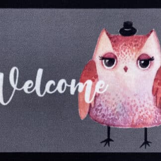 OWL BOY GREY 40X60