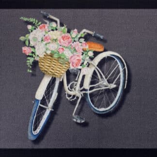 BROCANT BIKE GREY 40X60