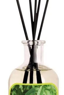 BAMBOUS PARFUMES 100ML VERVEINE