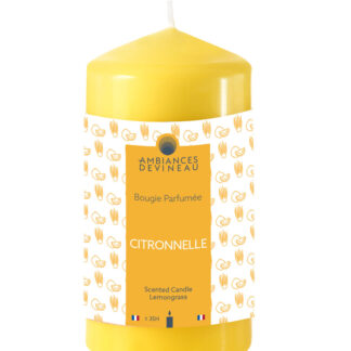 BOUGIE CYLIND CITRONNELLE 58X110