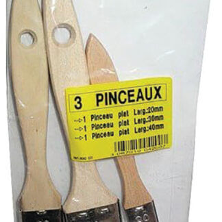 LOT 3 PINCEAUX PLATS