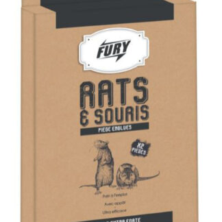 FURY PLAQUETTE RATS&SOURIS X2