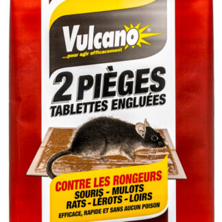 VULCANO 2 PIEGES A GLU RATS SOURIS