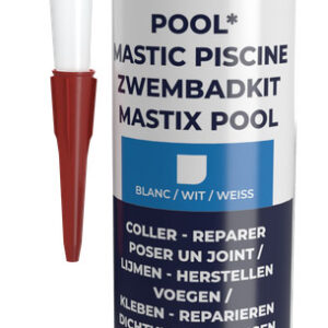 POOL MASTIC PISCINE CART 290 ML BLC
