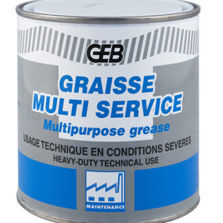 GRAISSE MULTISERVICE BTE 600GR