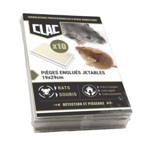 CLAC 10 PLAQUES ENGLUES RAT&SOURIS