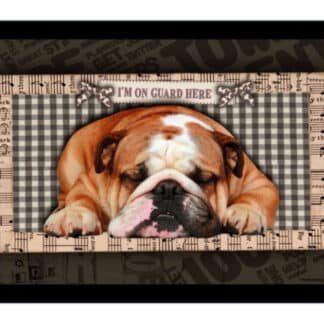 VELVET A0365-1 GUARD HERE 45X75