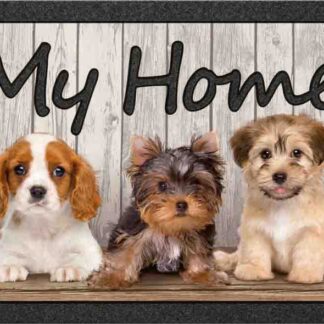 FORMAT PRINT MY HOME CANI 40X68