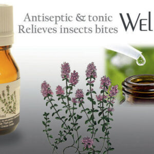Huiles essentielles - Thym