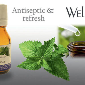 Huiles essentielles - Menthe