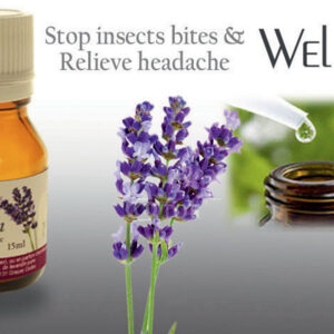 Huiles essentielles - Lavandin