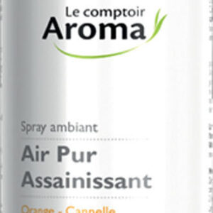 Spray air pur 200ml - Menthe
