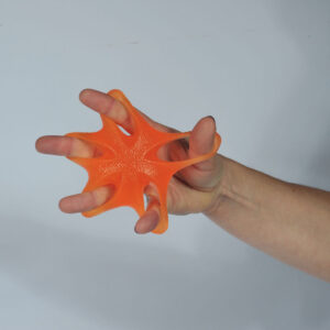 Etoile spécial extenseurs des doigts - Ferme