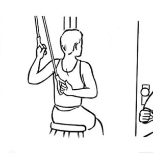 Poulie d'exercices - Standard