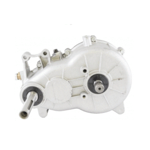 Boîte de vitesse JDM ABACA ALBIZIA ALOES BELLIER JADE